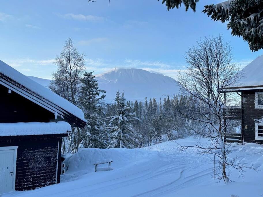 Ski Inn/Out - 4-Room Apartment W/3 Bedroom Gaustablikk Exterior photo